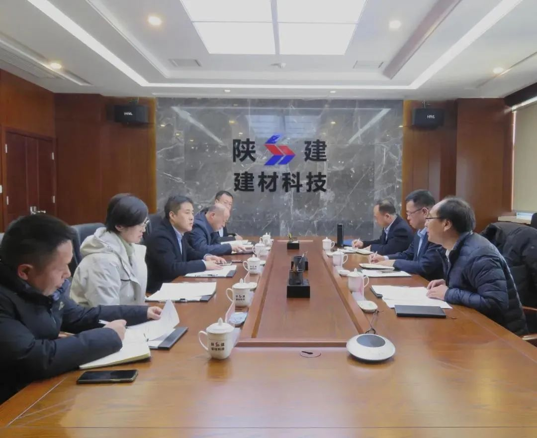陜建產(chǎn)投集團(tuán)黨委副書記、總經(jīng)理吳常明一行到陜建建材科技公司調(diào)研指導(dǎo)工作